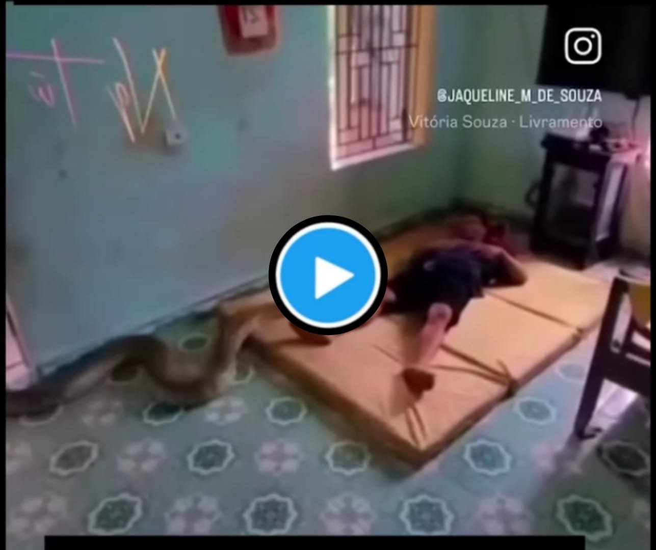 Ajgar Ka Video: A 20 feet long giant python started crawling on a comfortably sleeping person.