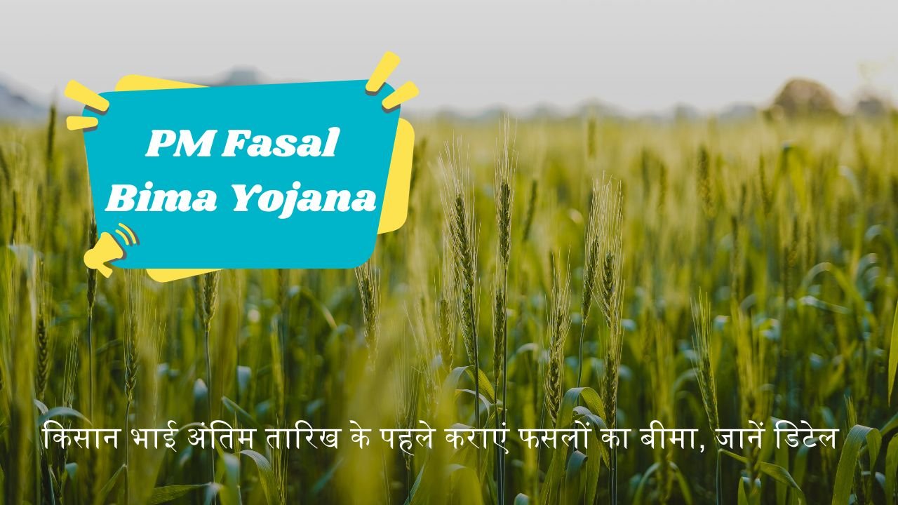 PM Fasal Bima Yojana: Farmer brothers should get their crops insured before the last date, know the details.