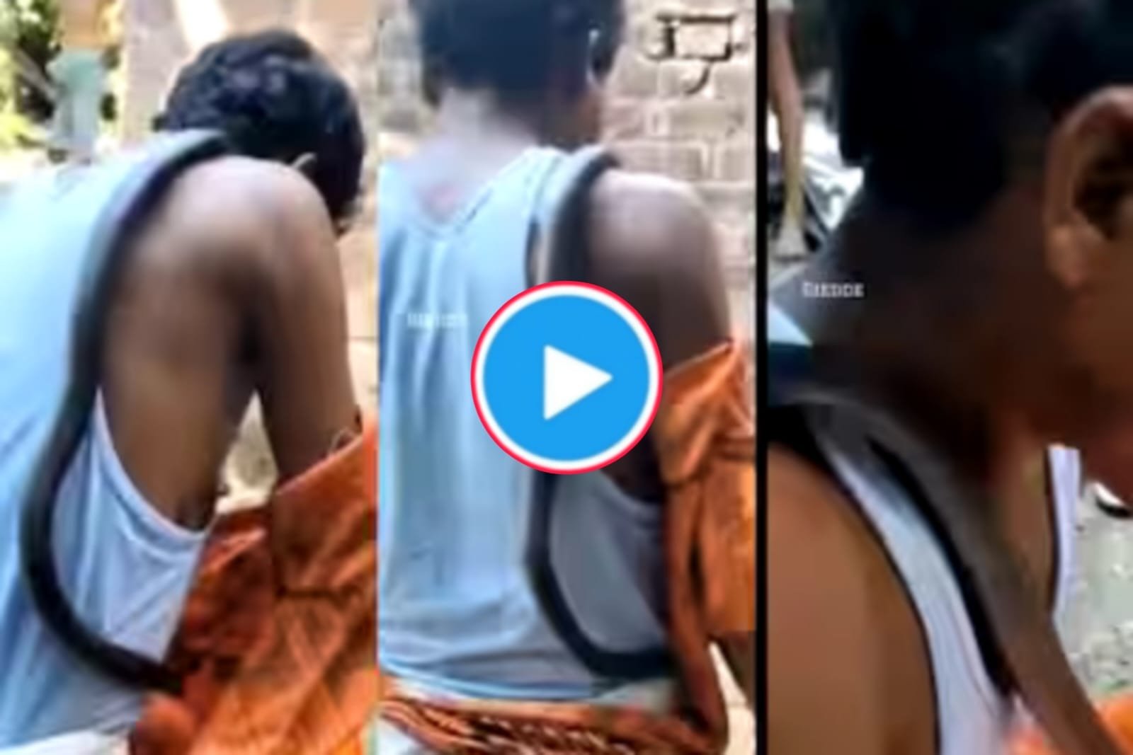 Snake Ka Video: Dangerous snake entered Kanwariya's shirt, cut it out with scissors