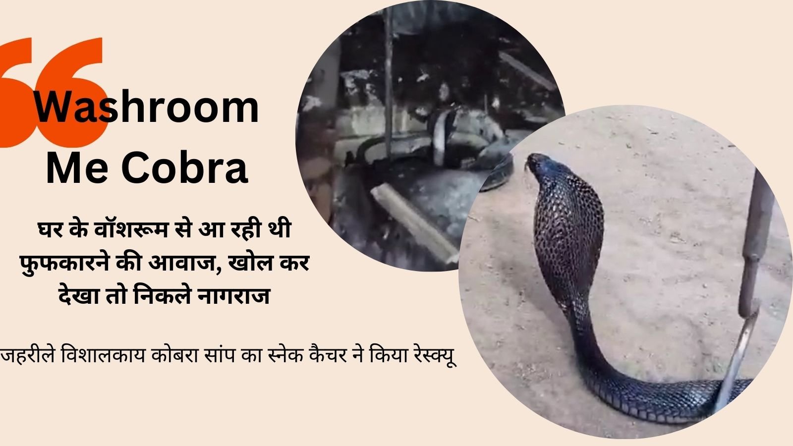 Cobra in Washroom: A hissing sound was coming from the washroom of the house, when I opened it, it turned out to be Cobra.