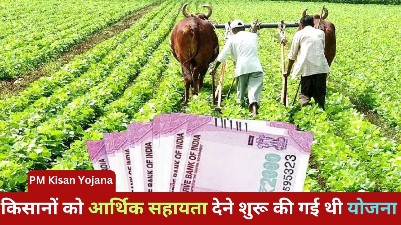 PM Kisan Yojana: Farmer brothers can avail benefits only by keeping these five important things in mind.