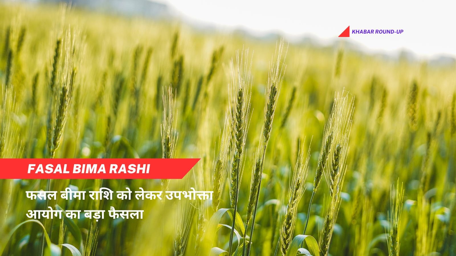 Fasal Bima Rashi: Big decision of Consumer Commission regarding crop insurance amount.