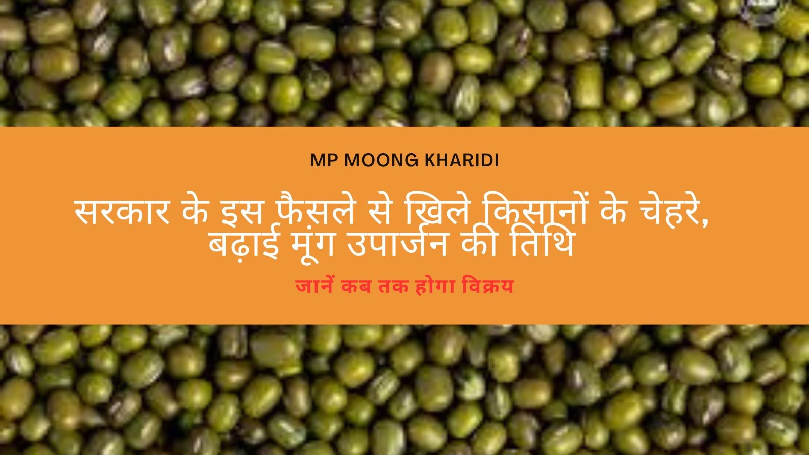 MP Moong Kharidi: Faces of farmers brightened due to this decision of the government, extended the date of moong procurement.