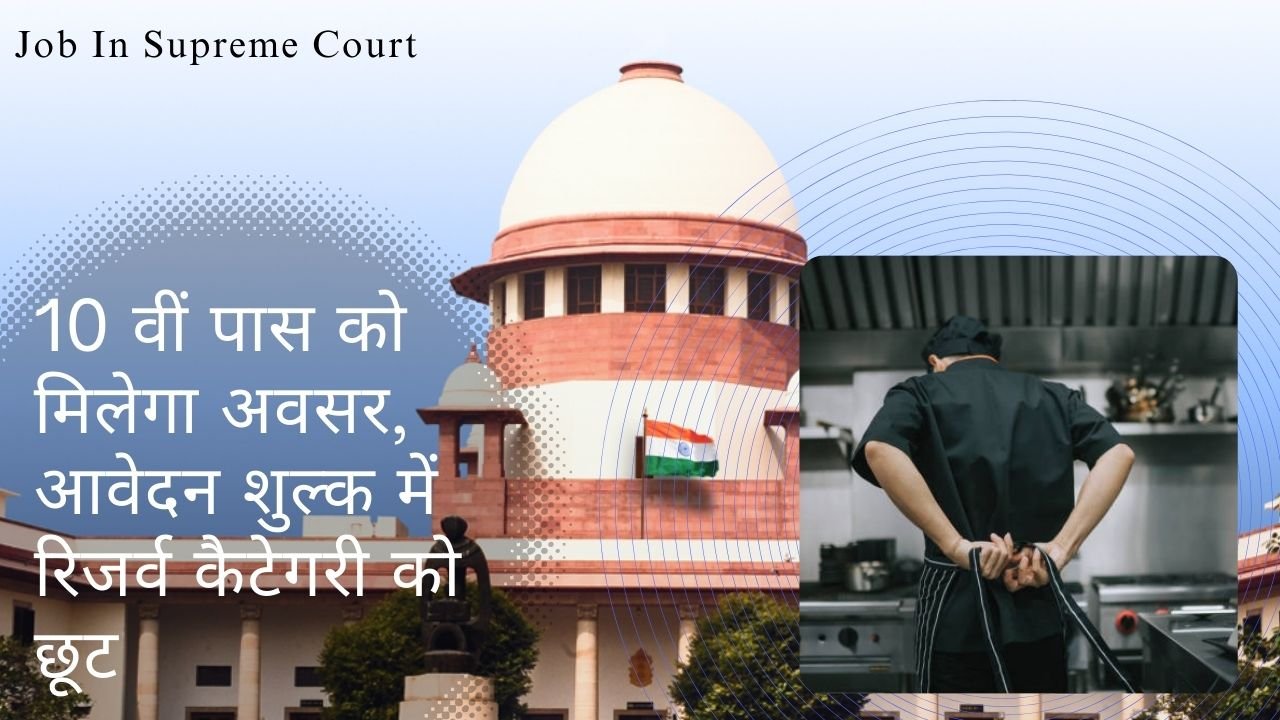 Job In Supreme Court: If you are also expert in this work then you can get a job in the Supreme Court.