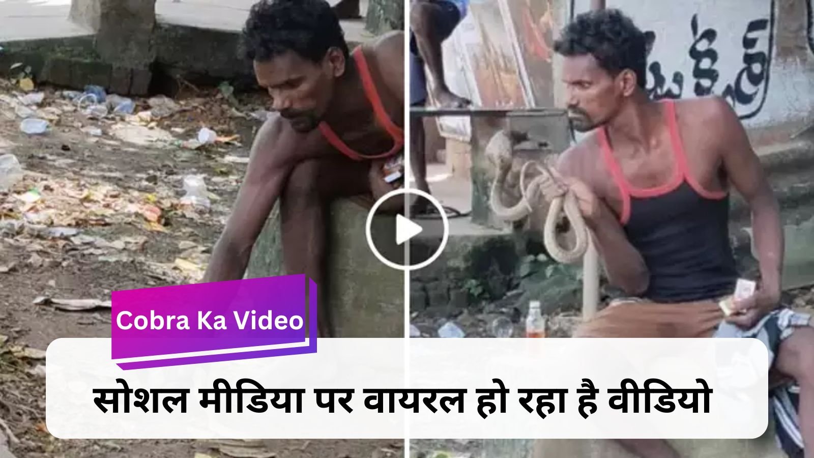 Cobra Ka Video: Drunk man kept playing with poisonous snake