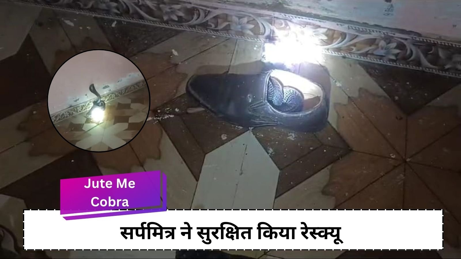 Jute Me Cobra: 4 feet long cobra snake hidden in shoes: Sarpamitra saved the rescue