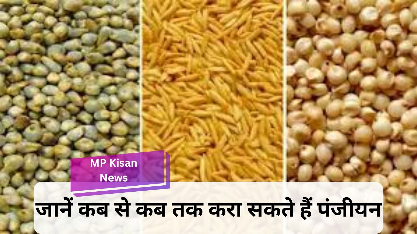 MP Kisan News: Good news for farmers, registration will be done soon for procurement of paddy, jowar and millet.