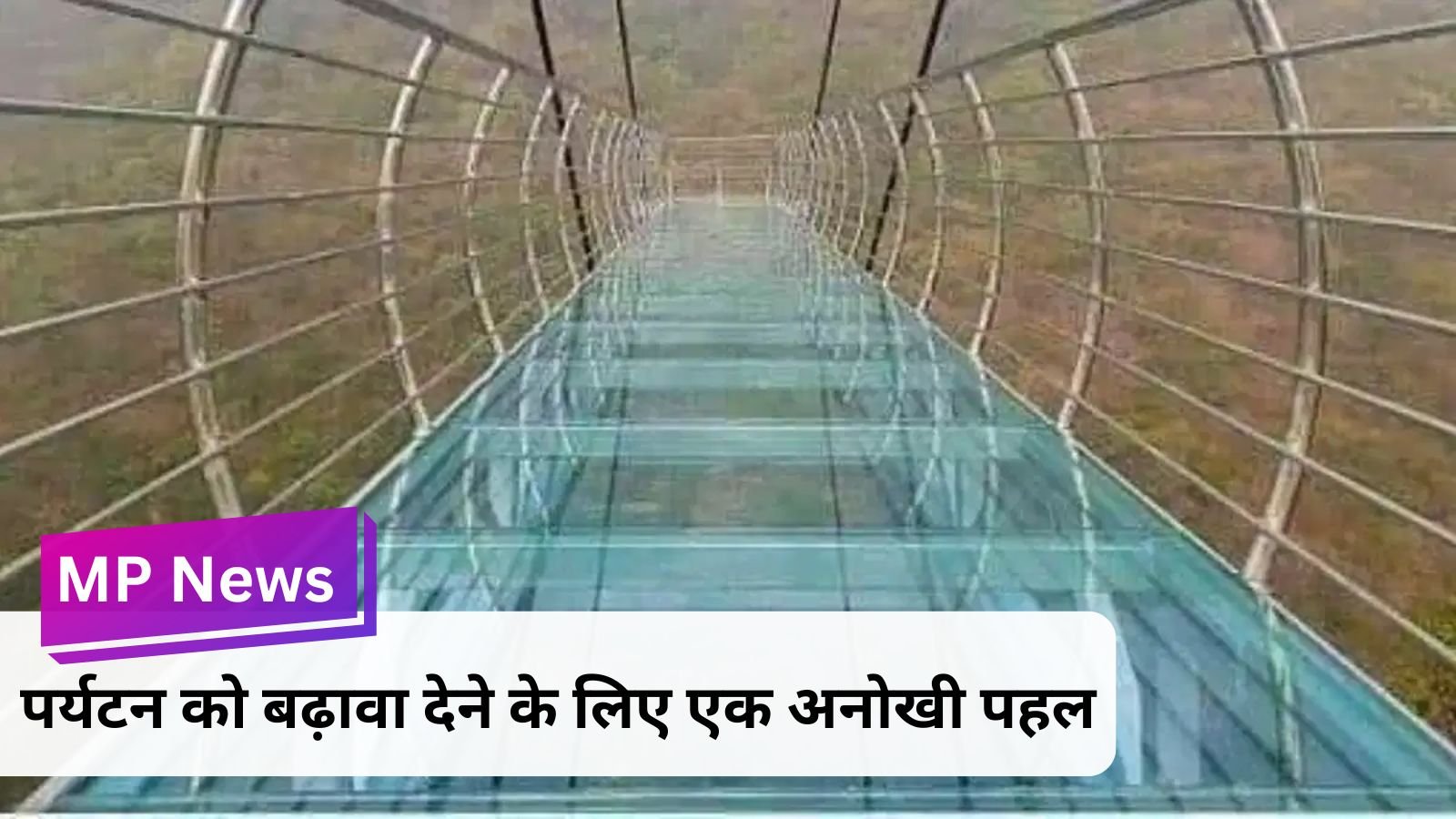 MP News: New thrilling experience in MP: Enjoying the natural views from the glass bridge.