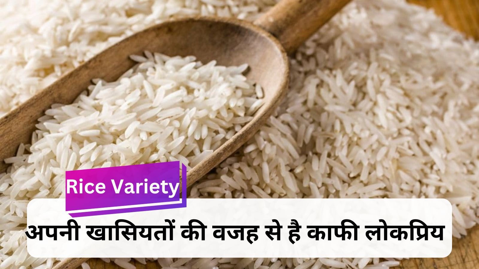 Rice Variety: Special 'Katarni' Rice: A priceless treasure of taste and aroma.