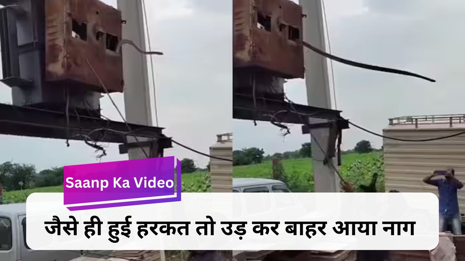 Saanp Ka Video: Video of rescue of a snake hiding in an electric transformer.