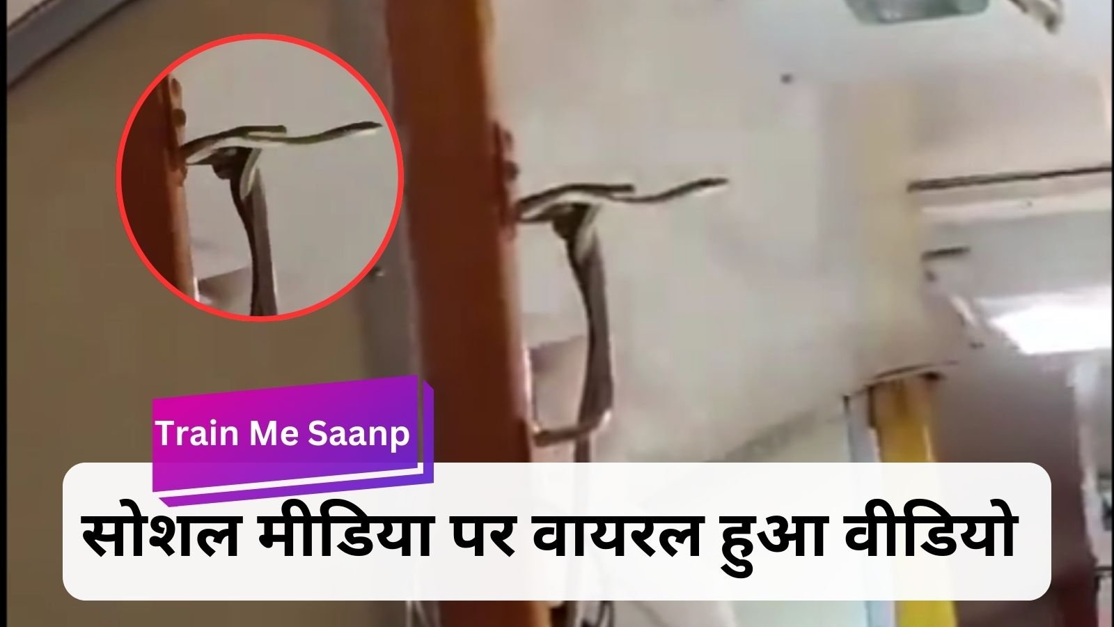 Train Me Saanp: Nagraj left the train bogie and shocked the passengers.