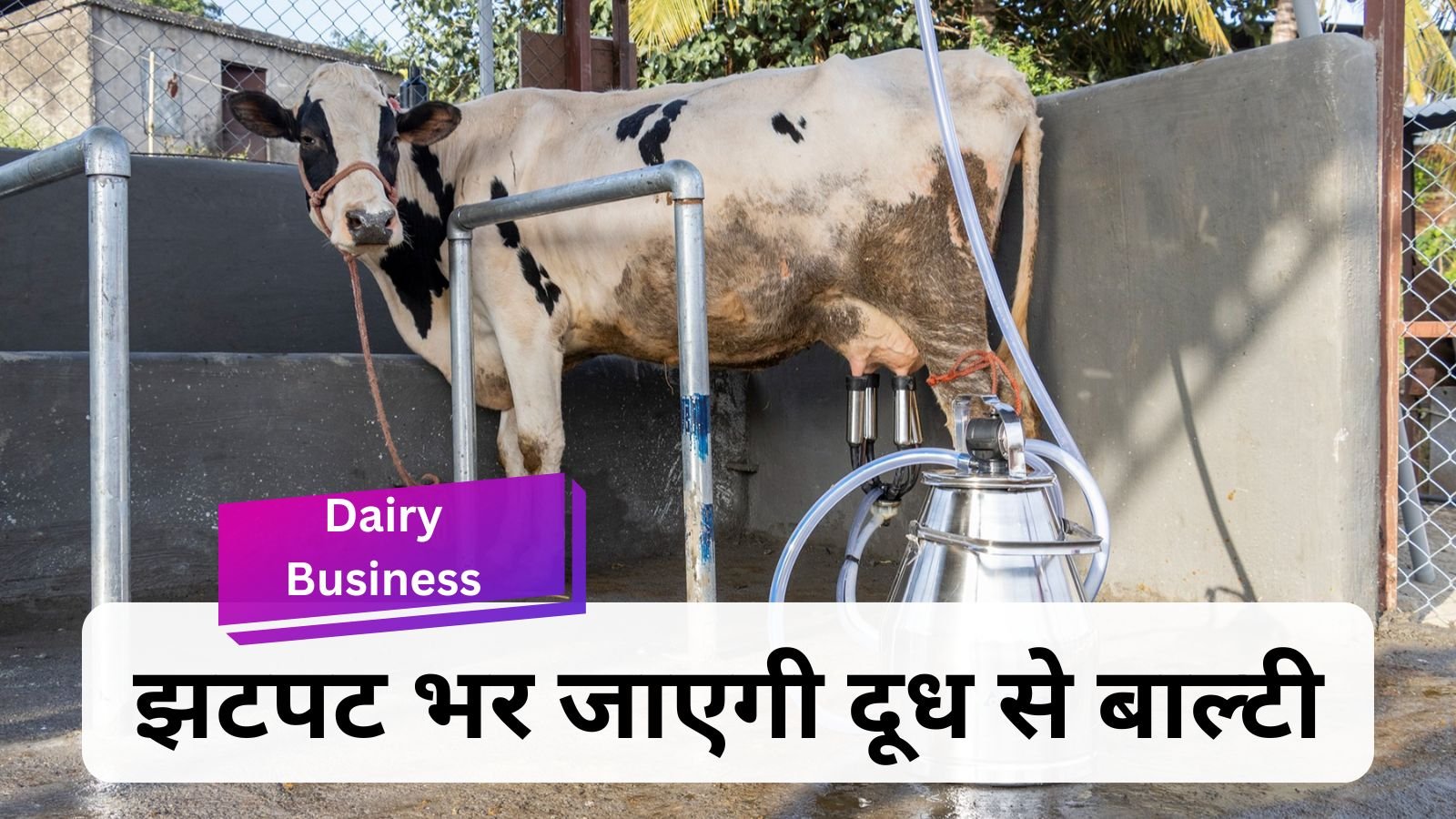 Dairy Business: Dairy business became easy with this magical machine