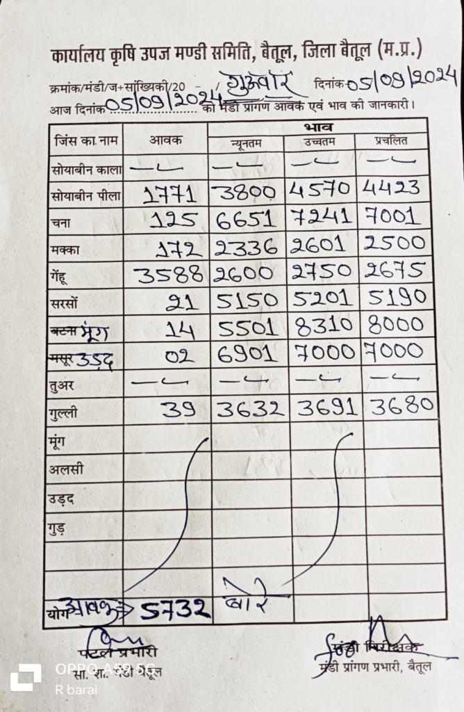 Betul Mandi Bhav : जानें आज 5 सितम्बर , गुरुवार के बैतूल कृषि उपज मंडी के भाव 