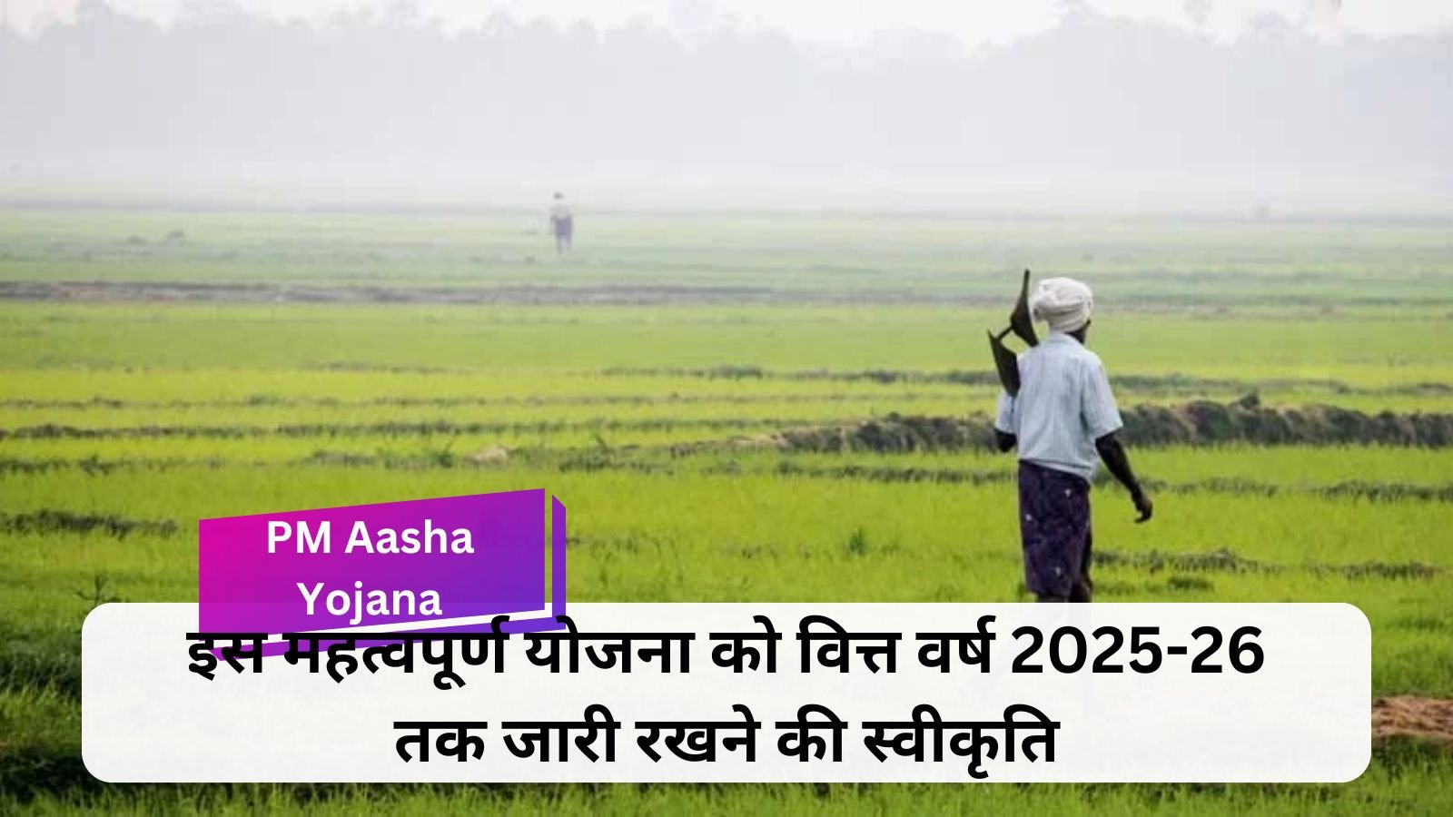 PM Aasha Yojana : केंद्र सरकार की इस घोषणा से किसानों को मिलेगी बड़ी राहत 