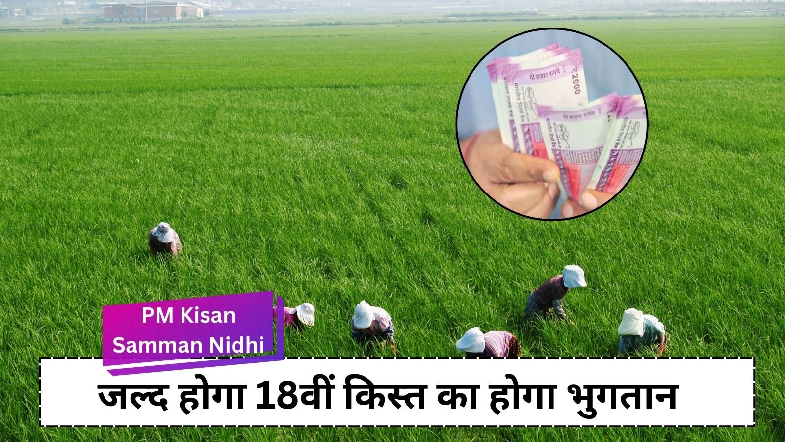 PM Kisan Samman Nidhi: Know which farmers will not get ₹ 2,000 of the 18th installment