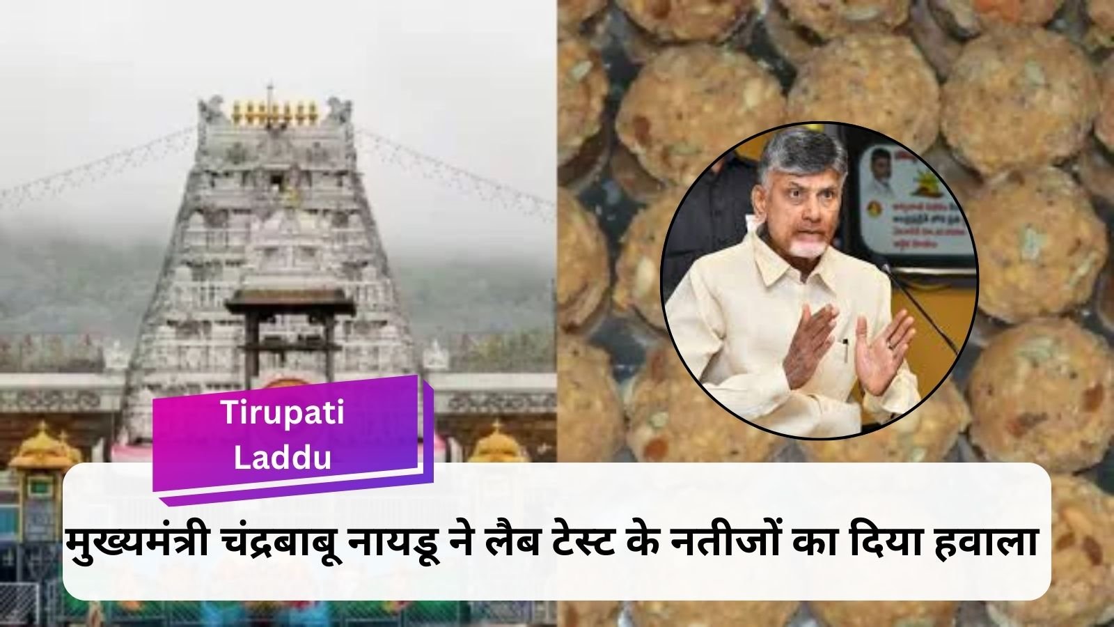 Tirupati Laddu: Case of finding animal fat in the famous laddu of Tirumala Tirupati Devasthanam (TTD)