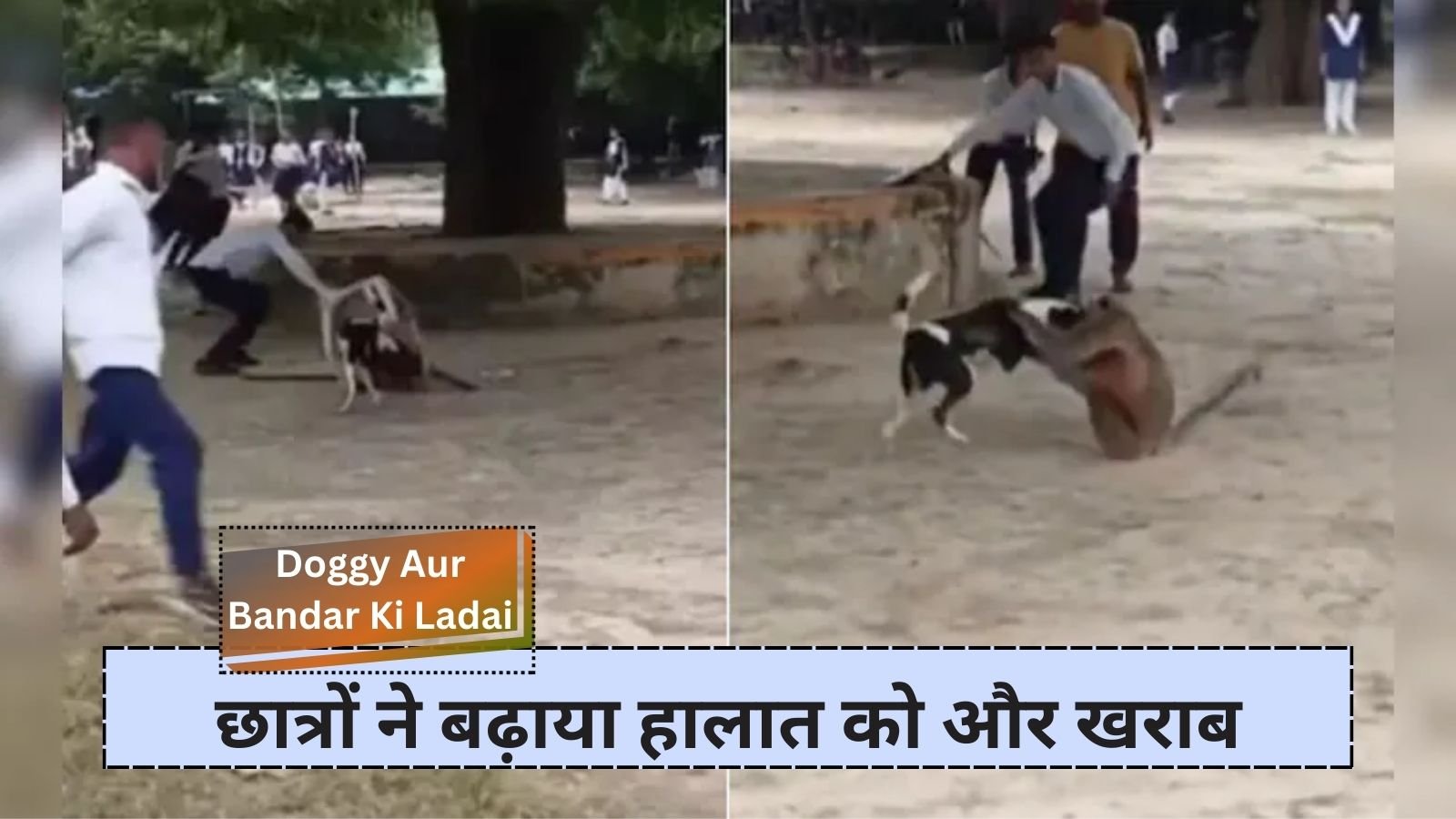 Doggy Aur Bandar Ki Ladai: Fierce fight between monkey and dog in college campus