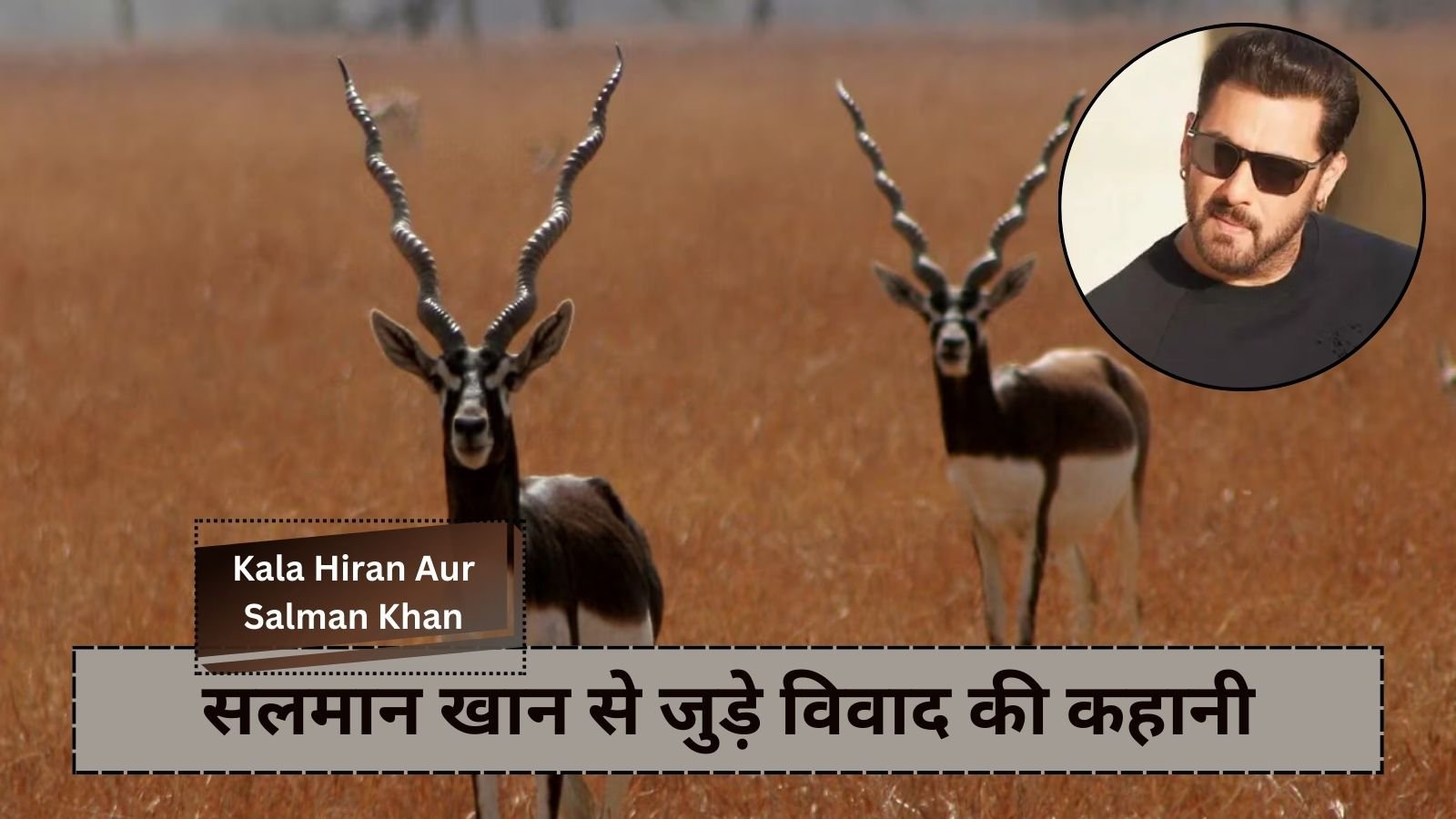 Kala Hiran Aur Salman Khan: Story of the price of black deer and the controversy related to Salman Khan