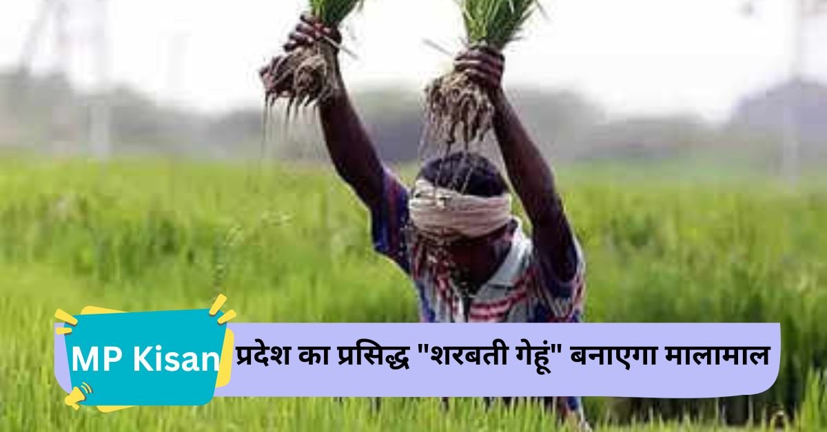 MP Kisan: A big good news for the farmers of Madhya Pradesh