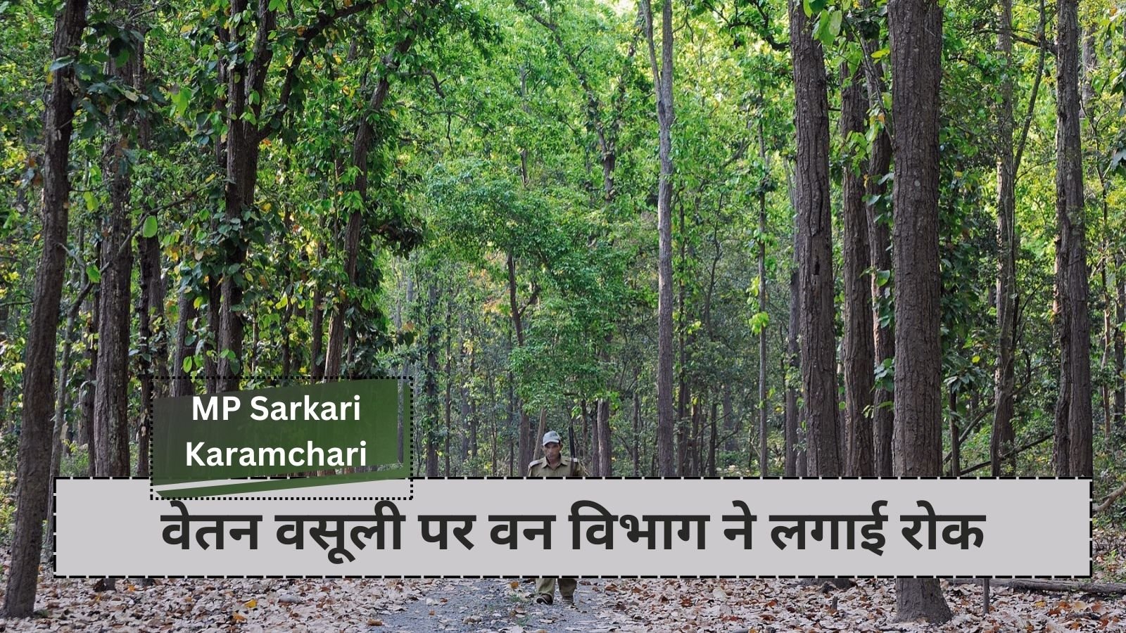 MP Sarkari Karamchari: Relief to forest guards of Madhya Pradesh