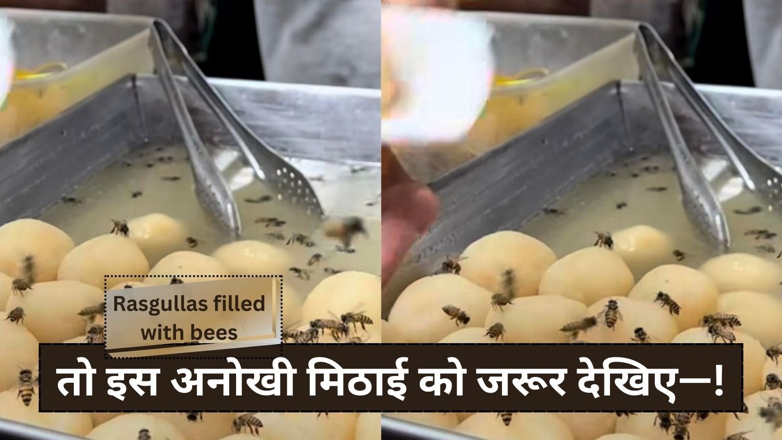 Rasgullas filled with bees : If you are fond of eating sweets