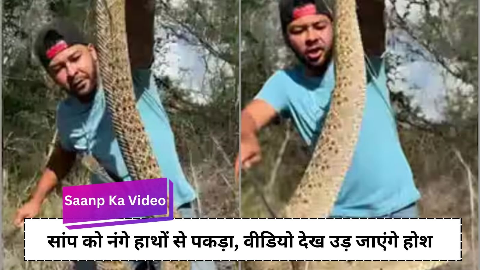 Saanp Ka Video: Dangerous snake attacks a person, watch viral video