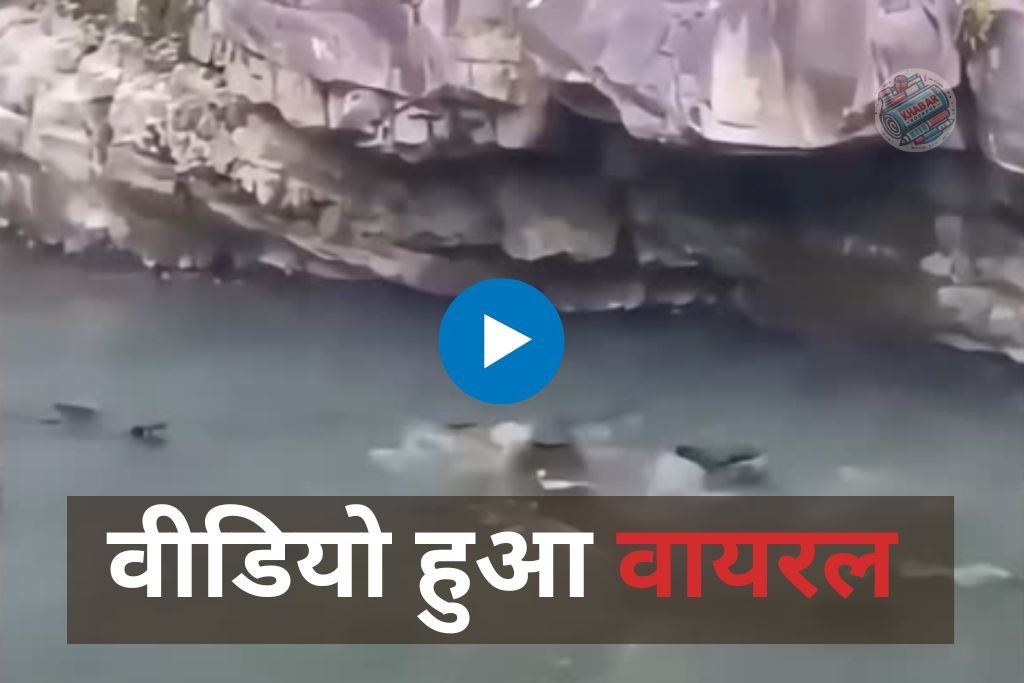 Magarmach Ka Video: Lots of fun in a pond full of crocodiles