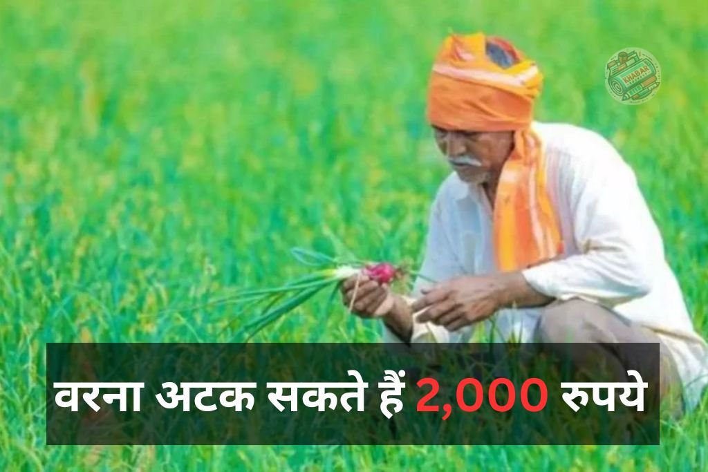 PM Kisan 19th Installment: Farmers should do this important work before the next installment