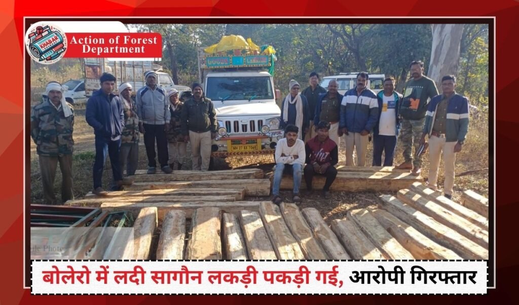 Action of Forest Department : रात 3 बजे वन विभाग की सतर्कता से पकड़ी गई अवैध सागौन लकड़ी