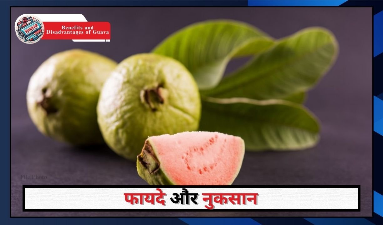 Benefits and Disadvantages of Guava: Benefits and disadvantages of eating guava