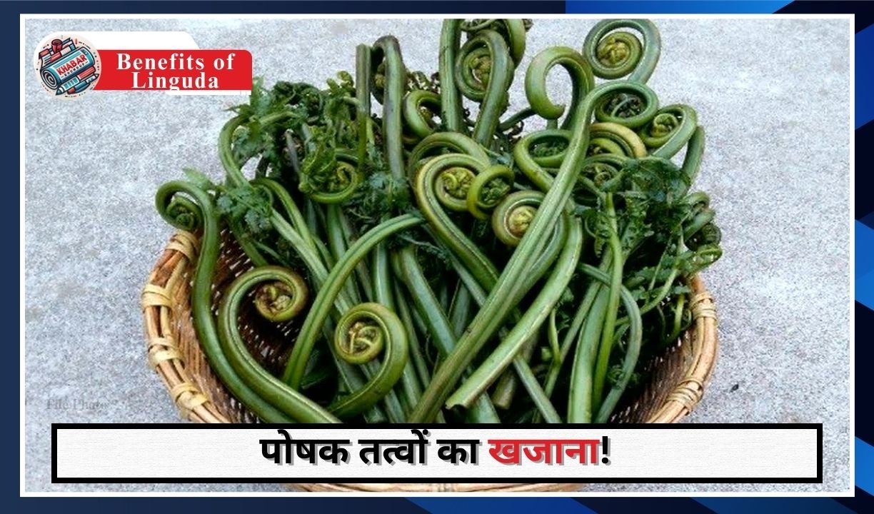 Benefits of Linguda: The world's most powerful vegetable