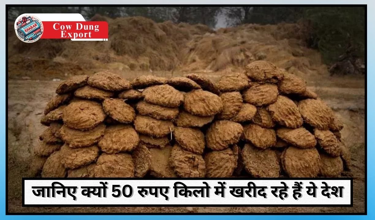 Cow Dung Export: Export of cow dung from India increased