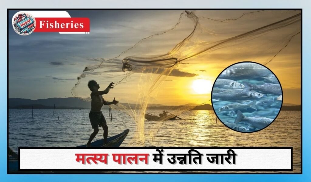 Fisheries: 725 Fishermen Credit Cards distributed in last one year