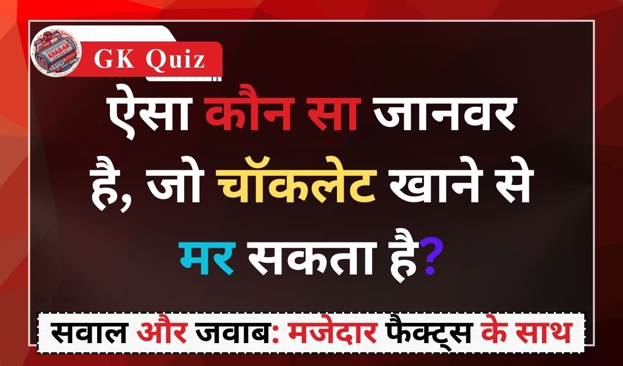 GK Quiz: Know interesting and useful general knowledge facts