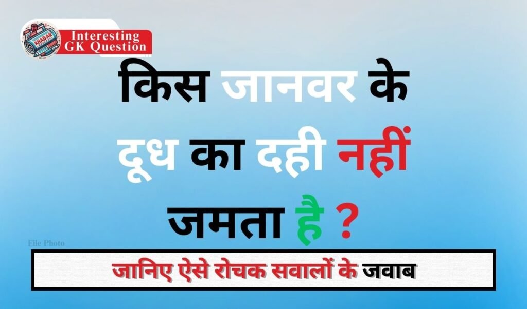 Interesting GK Question: Which animal's milk does not curd?