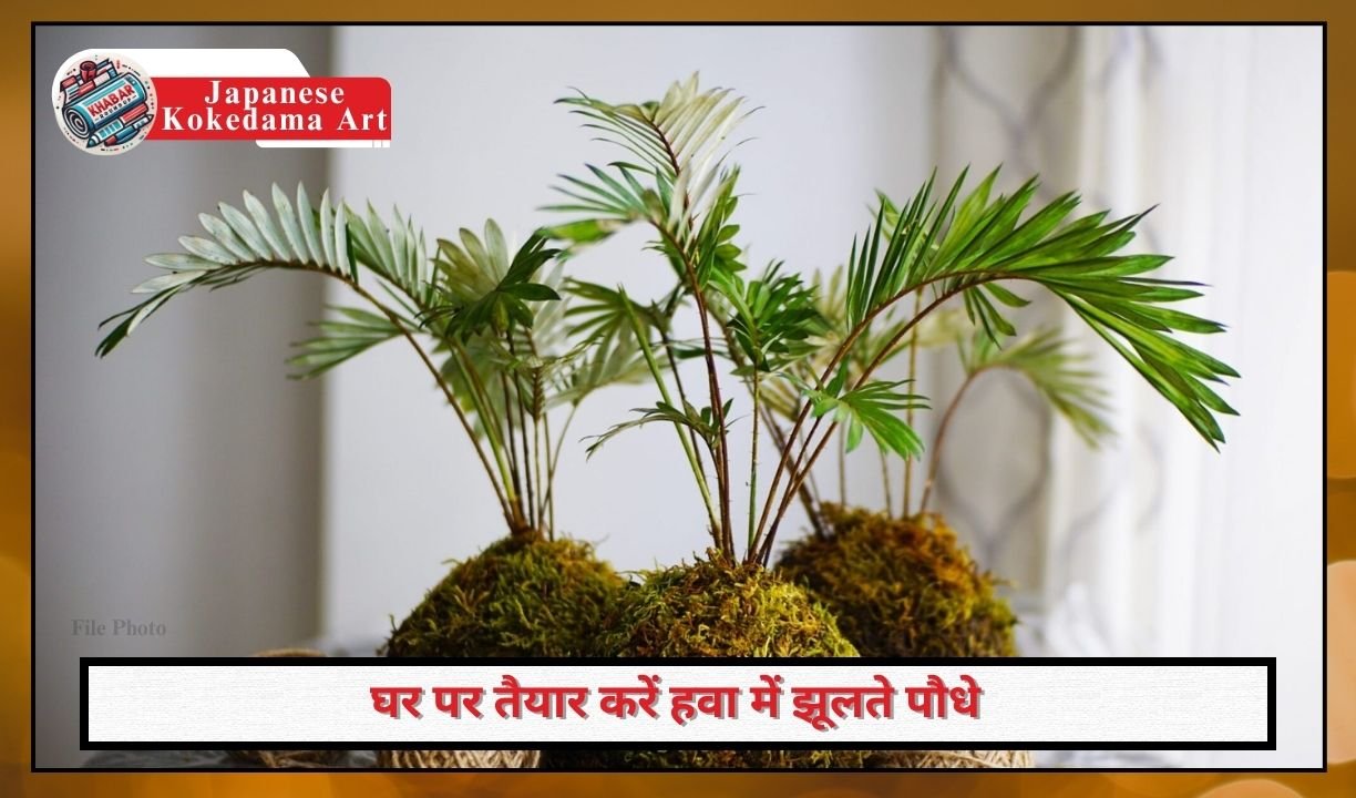 Japanese Kokedama Art: Prepare plants hanging in the air at home for Rs 2