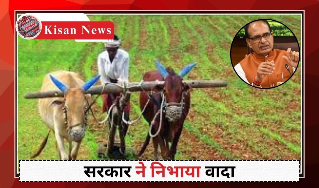 Kisan News: Good news for farmers: Crops will be purchased at MSP.