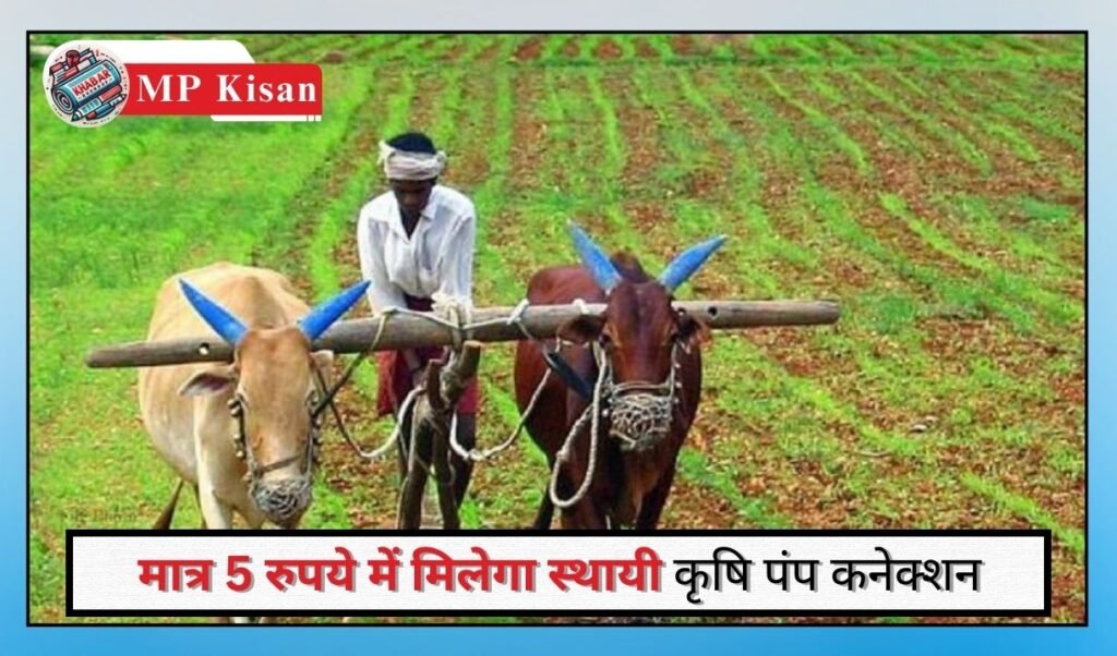 MP Kisan: Good news for farmers
