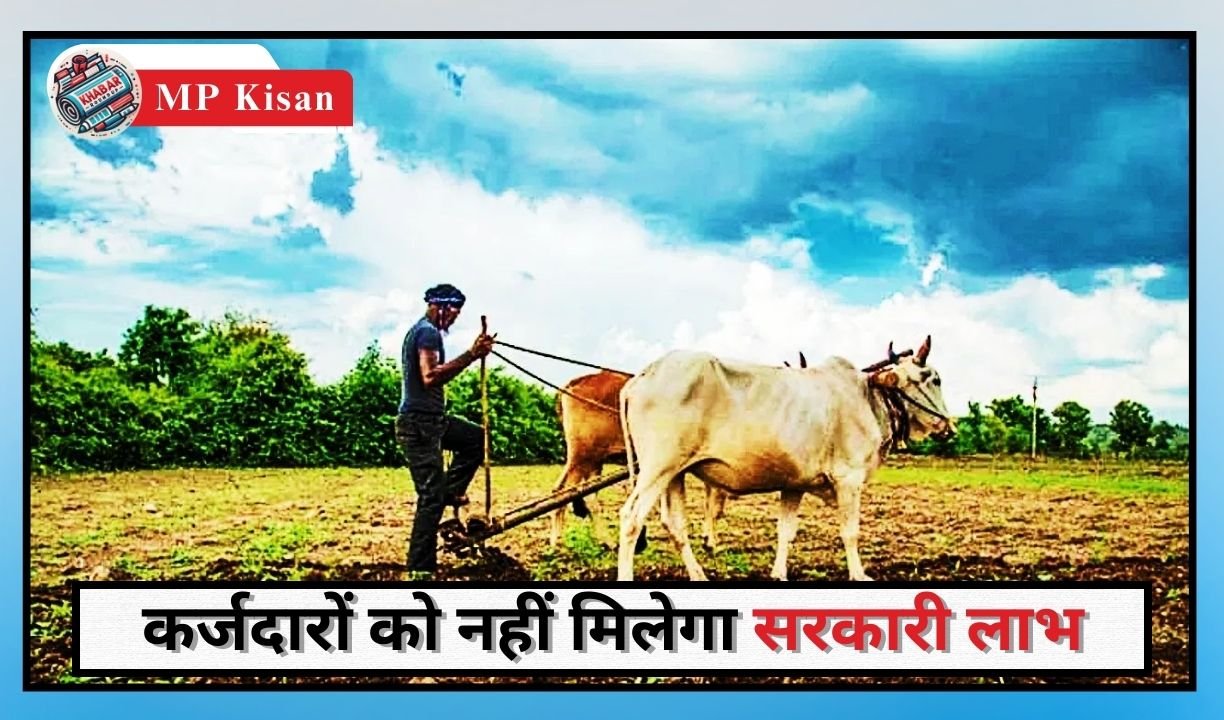 MP Kisan: Important update for MP farmers