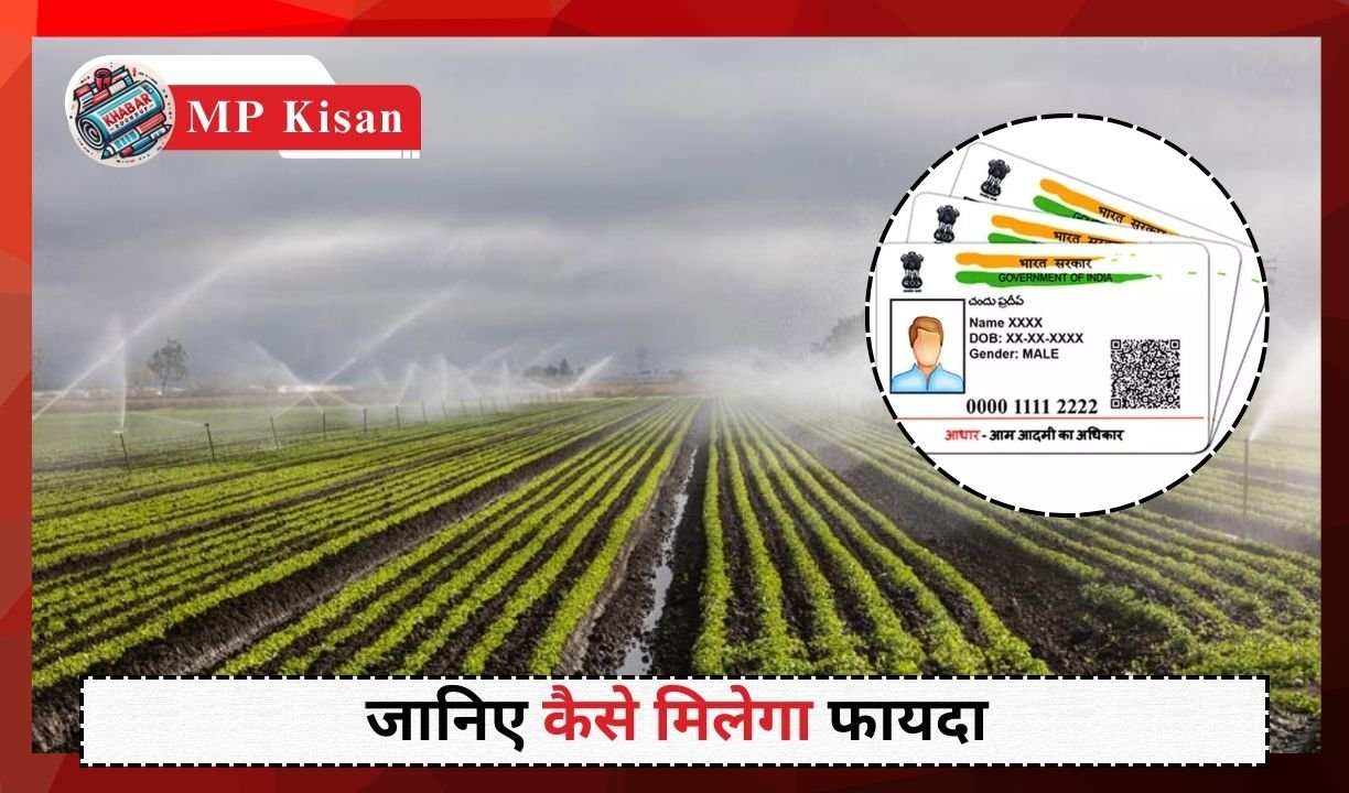 MP Kisan: Agricultural land in Madhya Pradesh will be linked to Aadhaar