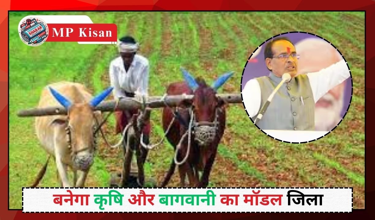 MP Kisan: Shivraj Singh Chauhan's big announcement for the farmers of MP.