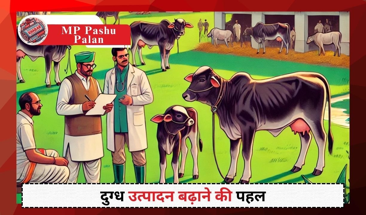 MP Pashu Palan: Animal Husbandry Department will sell calves of high breed cows in the state.