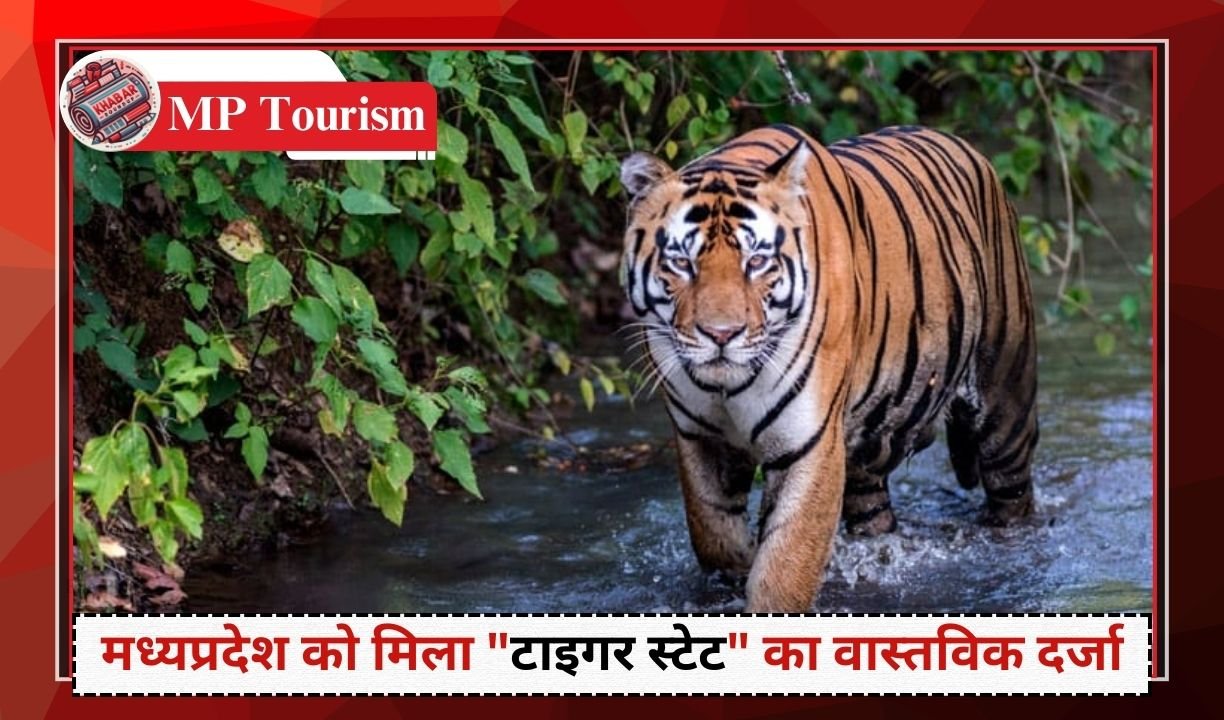 MP Tourism: Ratapani Sanctuary becomes Tiger Reserve