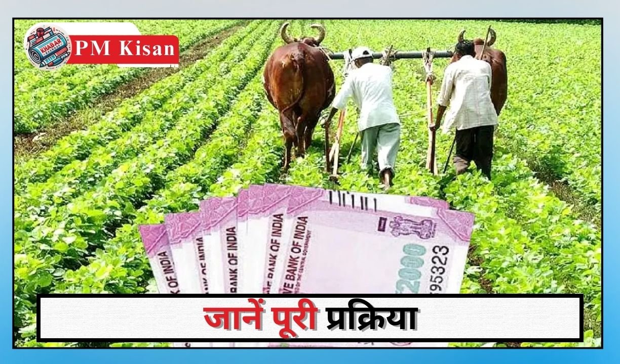 PM Kisan: Farmer ID is necessary to get the next installment