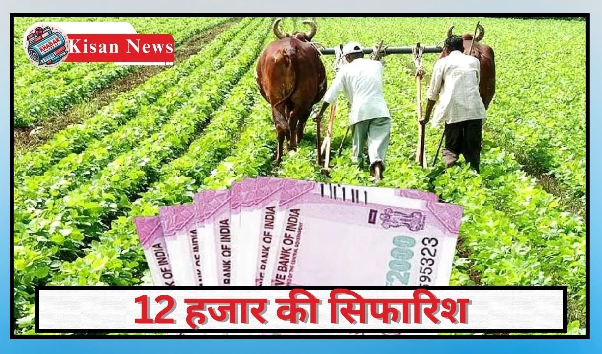 Kisan News: Big news for farmers: Recommendation of Rs 12 thousand instead of Rs 6 thousand.