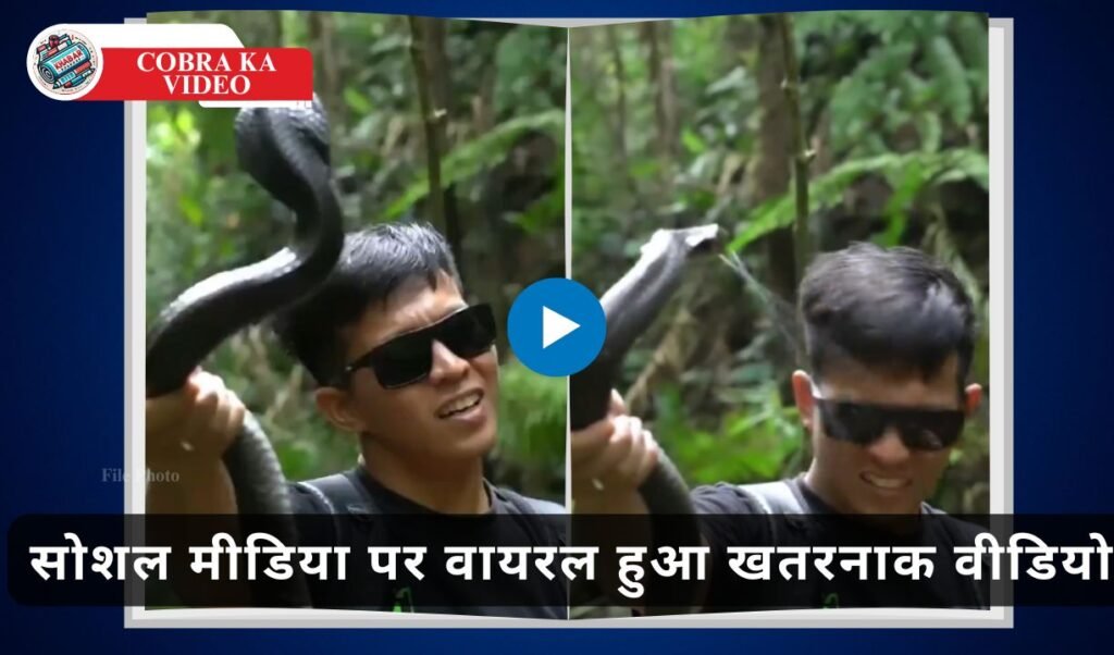 Cobra Ka Video: Having fun with a snake proved costly: Viral video taught a dangerous lesson