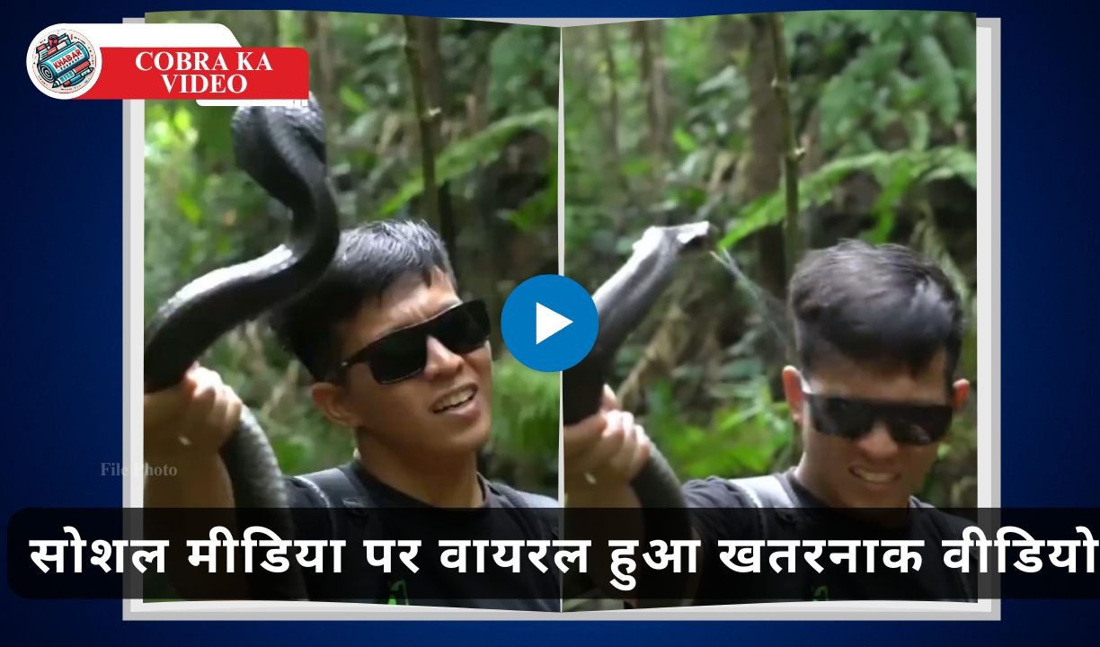 Cobra Ka Video: Having fun with a snake proved costly: Viral video taught a dangerous lesson