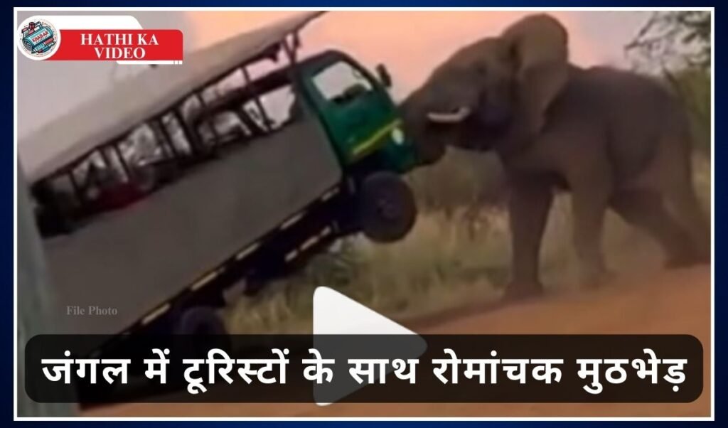 Hathi Ka Video: Shocking video of elephant: Thrilling encounter with tourists in the forest