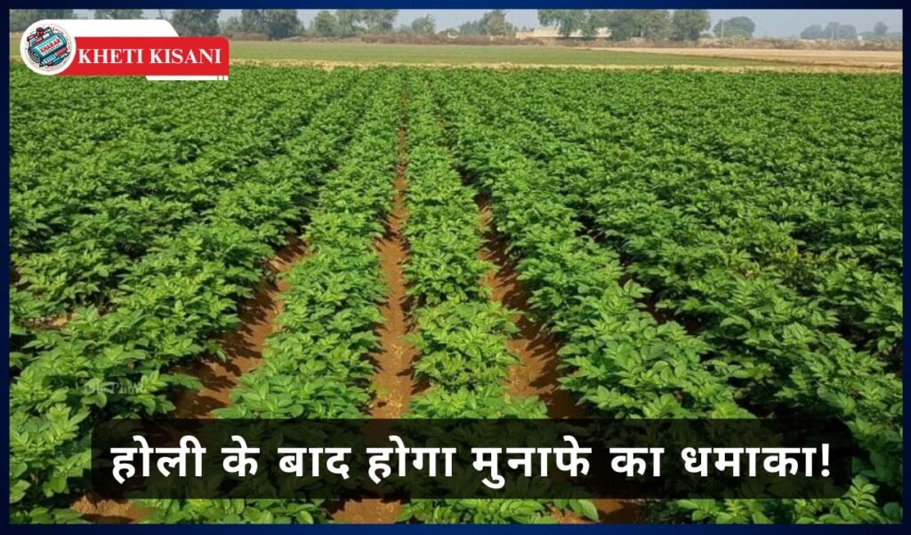 Kheti Kisani: Grow these 5 vegetables in empty potato fields in January