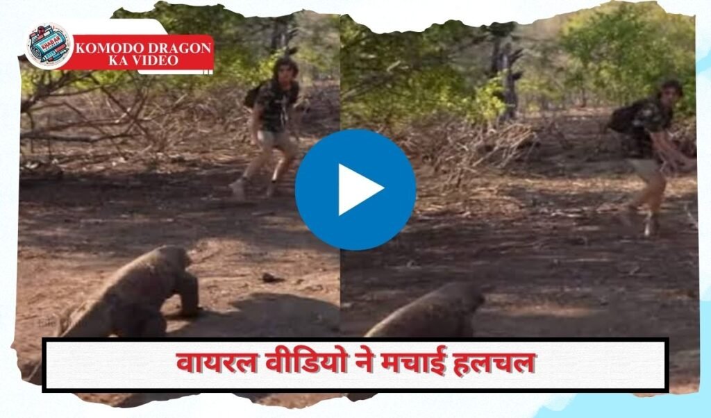 Komodo Dragon Ka Video: Boy encounters strange creature in the forest